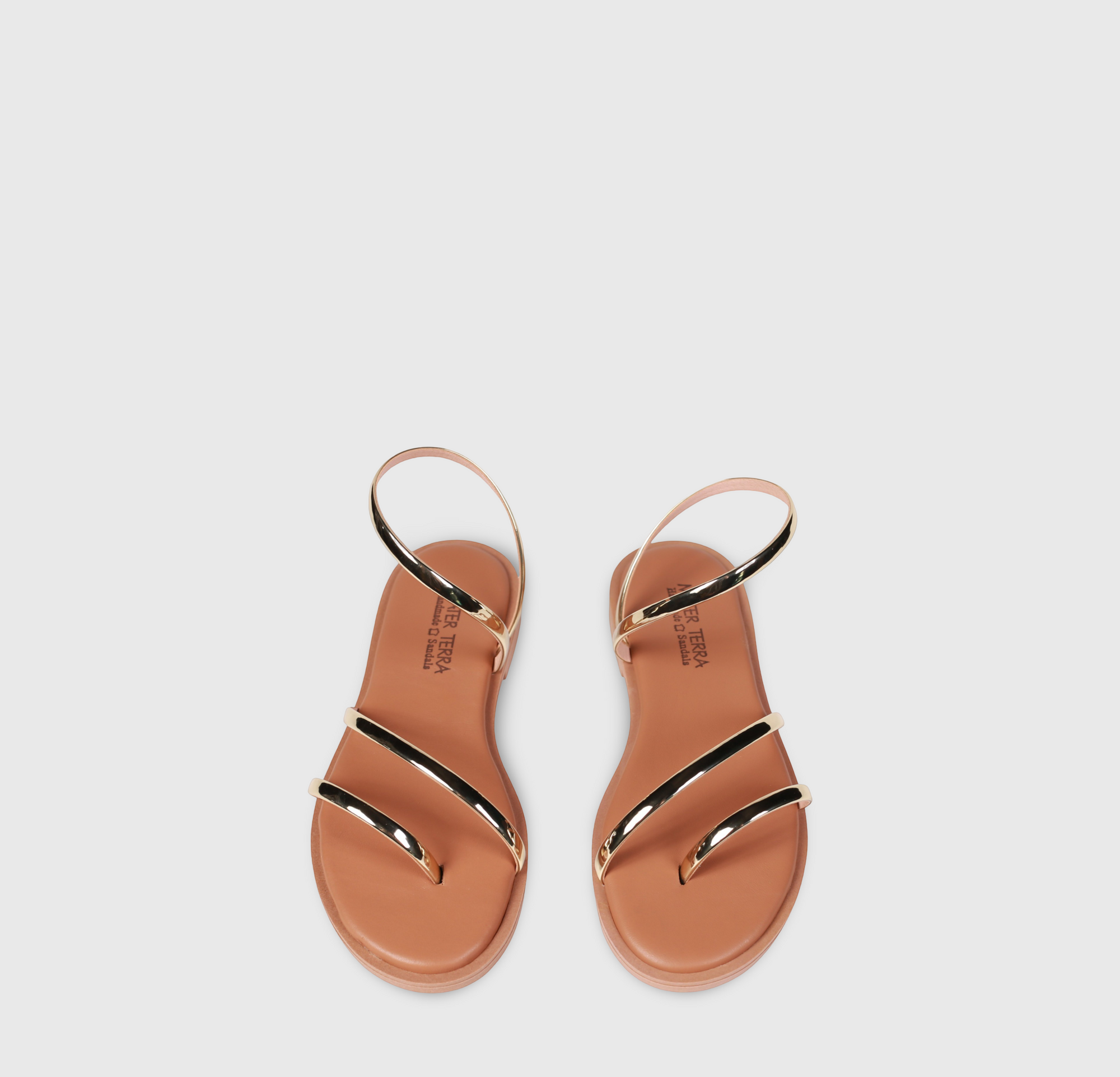 Aristea