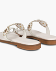 Meliboia
