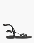 Andromache Black