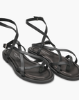 Andromache Black