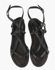 Andromache Black