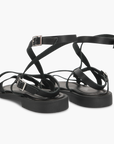 Andromache Black