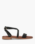 Leonis Black