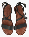 Leonis Black