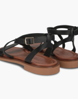 Leonis Black