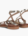 Andromache Gold