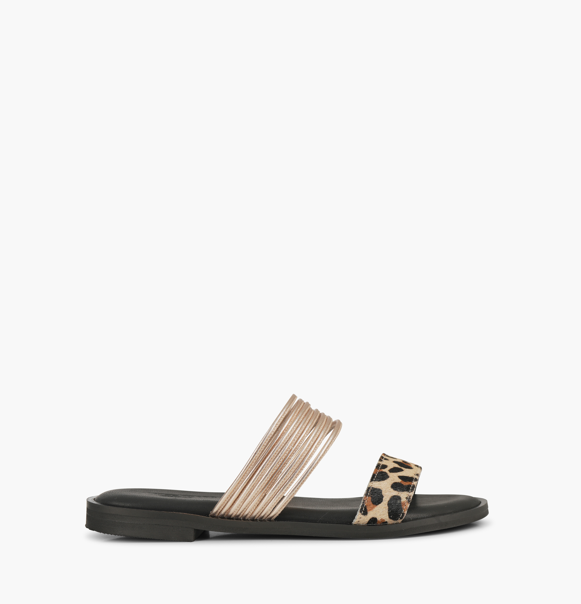 Zelia Leopard