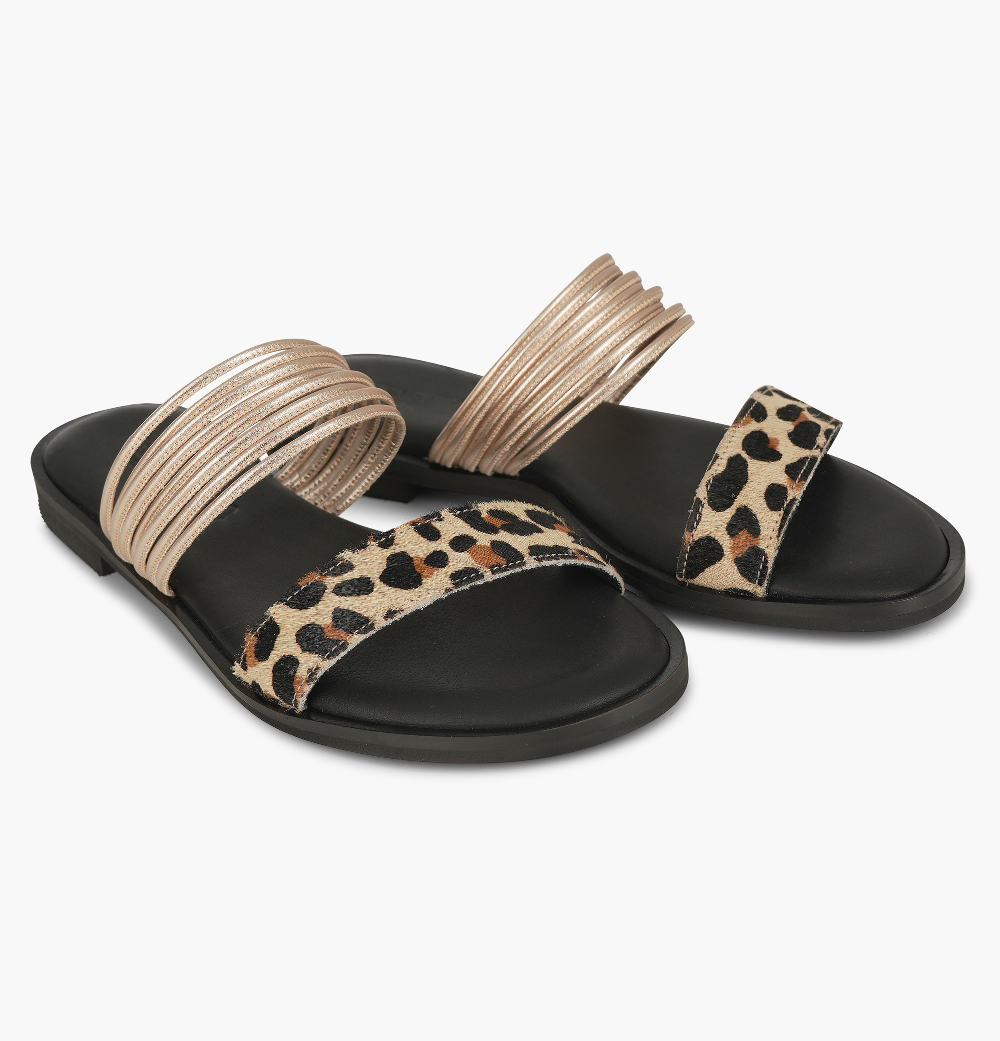 Zelia Leopard