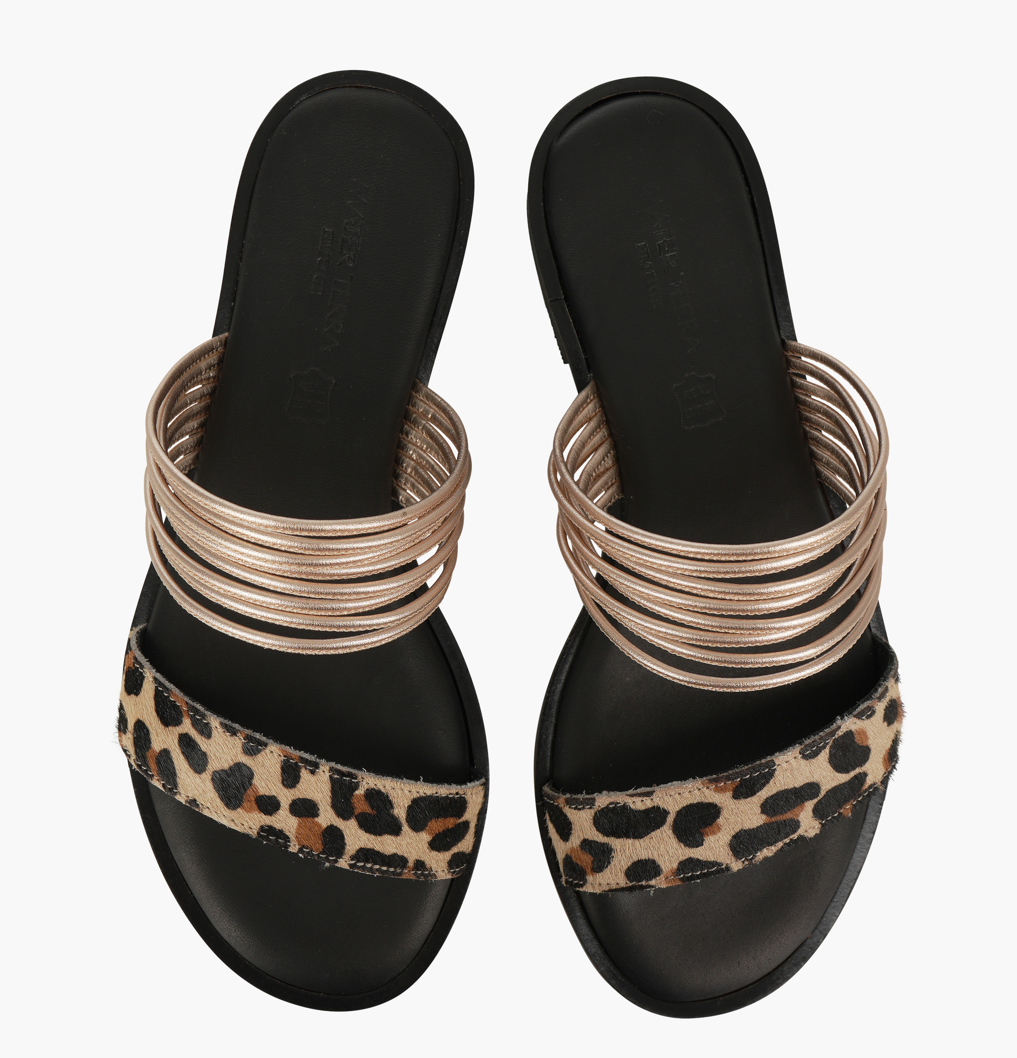 Zelia Leopard
