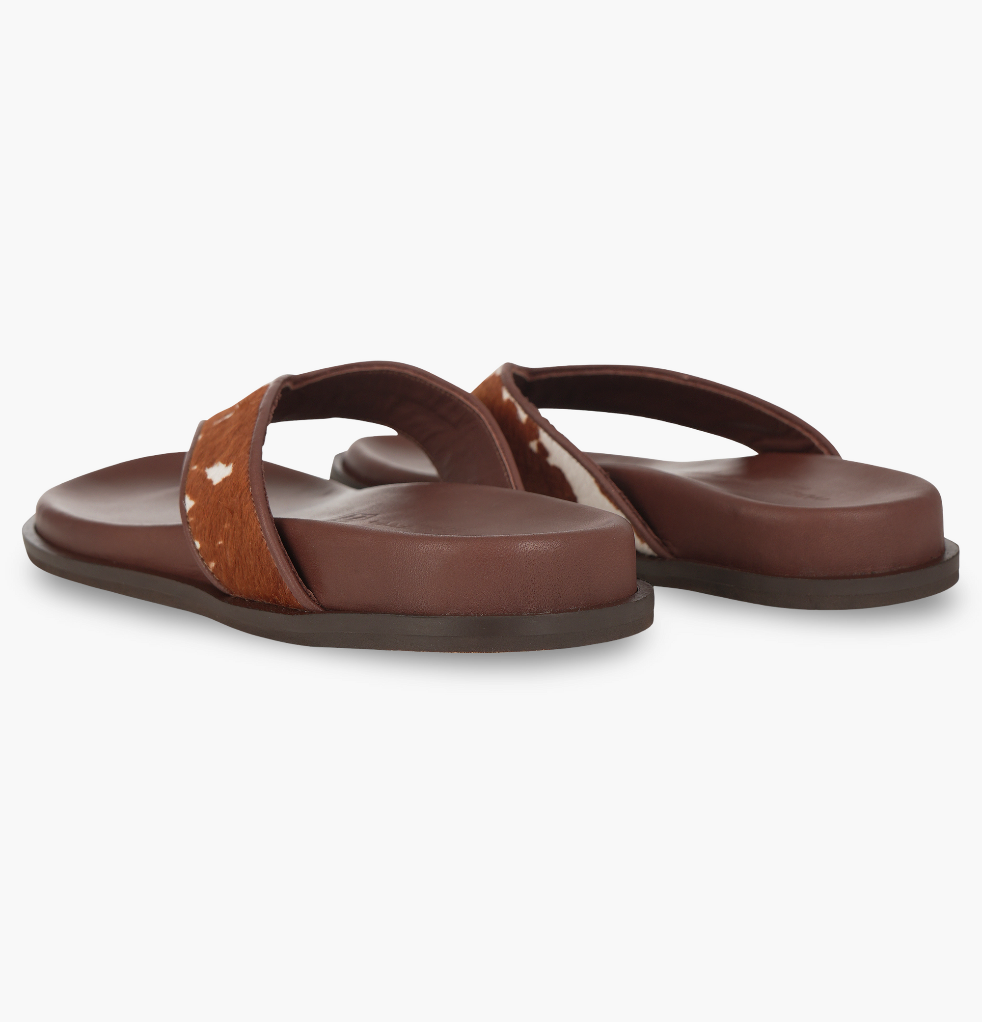 Hemera