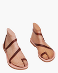 Nysaia